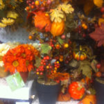 photo photo