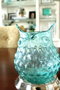 Blue Owl