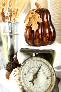 Vintage Scale Decor