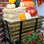 Fall Wagon Fall Wagon