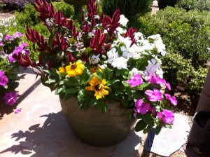Container Garden