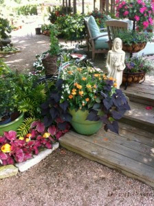 Container Garden