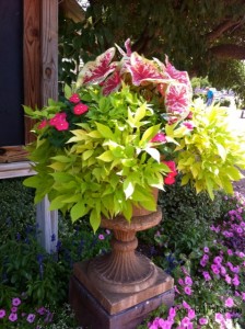 Pretty Container Garden