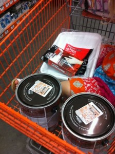 Behr Paint