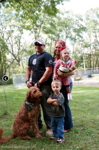 Stiggy's Dogs