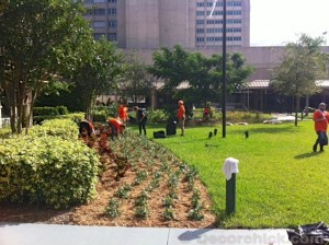Fisher House Mulching