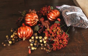 Fall Accessoreis