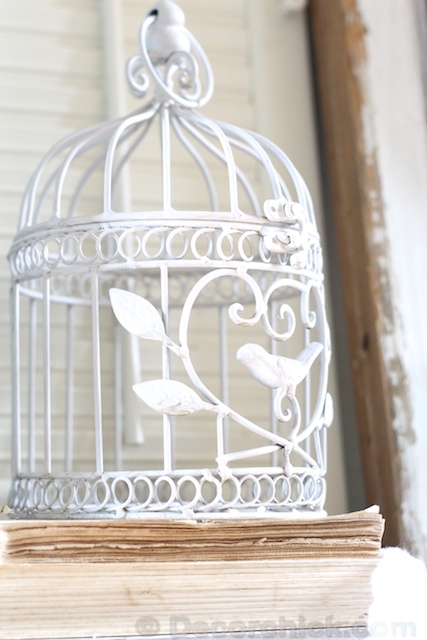 Birdcage