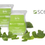 ScenTrend2013_PR_logo