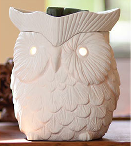 Scentsy Owl Warmer