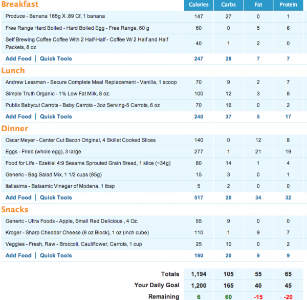 Exercise And Diet Journal