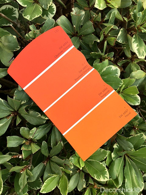 orange paint swatches