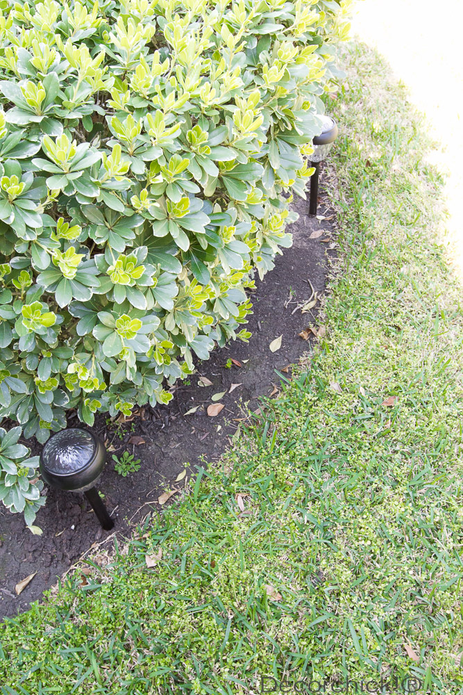 Solar Lights in Flower Bed | Decorchick!®