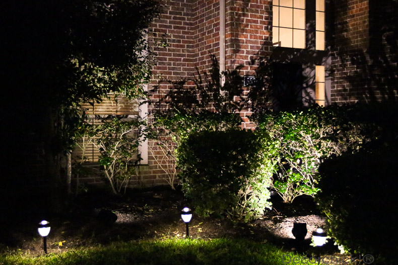 Yard Lit with Solar Lights | Decorchick!®