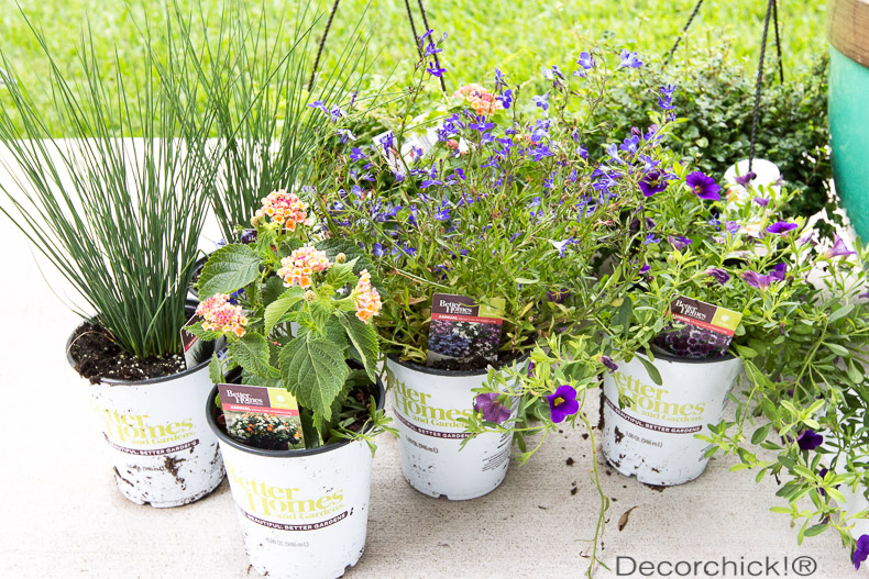 BHG Plants from Walmart | Decorchick!®