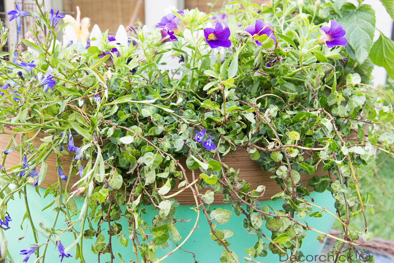 Foliage in Planter | Decorchick!®