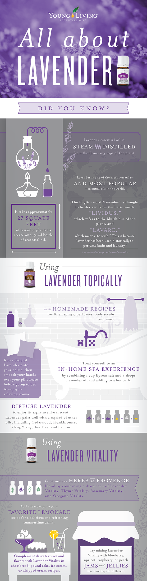 All About Lavender! | Decorchick!®