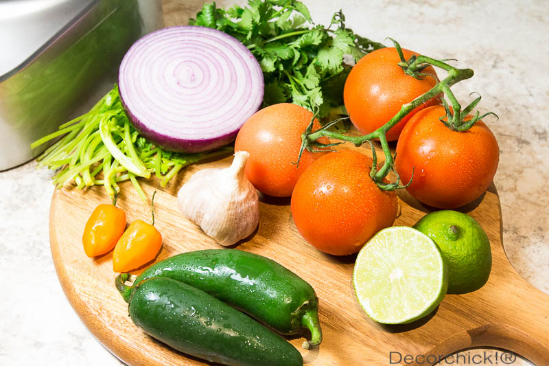 Salsa Ingredients | Decorchick!®