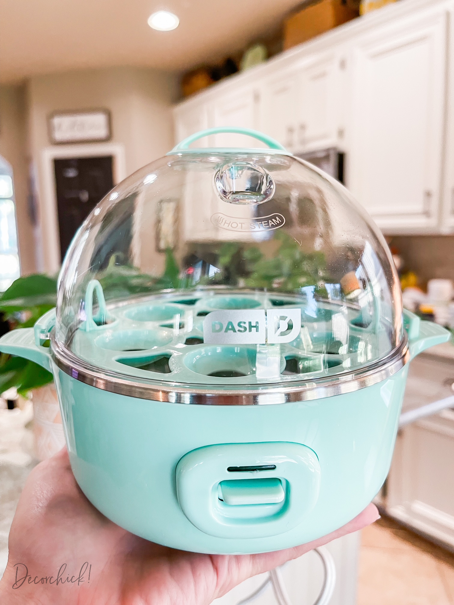 The Dash Rapid Egg Cooker Is $20 at