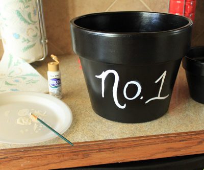 My Numbered Flower Pots!
