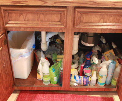 The Famous Pantry Carousels…Not Just For Your Pantry: Under Sink Makeover