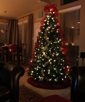 Ye Ole Christmas Tree(s)