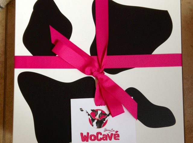 WoCave Box2