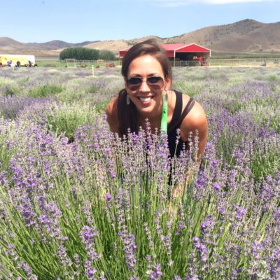 Lavender Fields Young Living | Decorchick!®