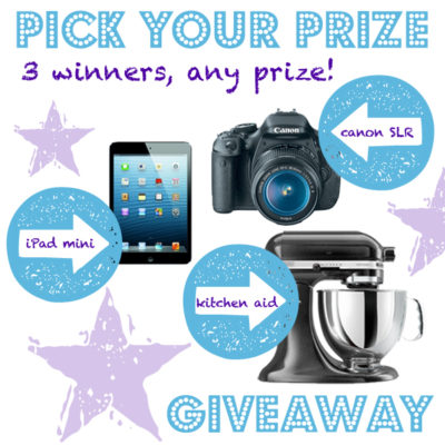 Amazing Pick Your Prize Giveaway! {Canon Camera, iPad Mini, Kitchen Aid}
