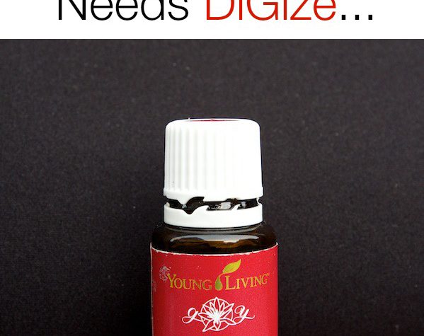 DiGize Essential Oil and Why You Need It | Decorchick!®