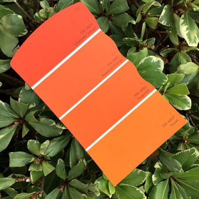 Orange Paint Swatch | Decorchick!®