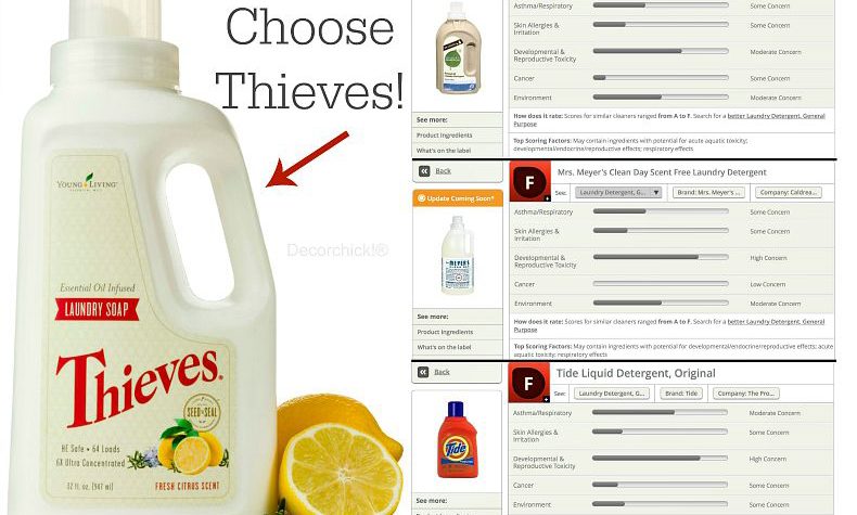 Thieves Laundry Soap Comparison. You Decide! | Decorchick!®
