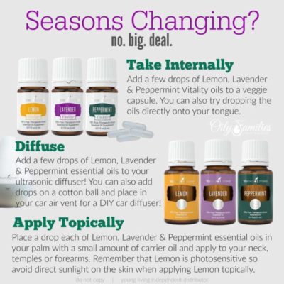 What to do for those Seasonal Changes, the Healthy Way | Decorchick!®