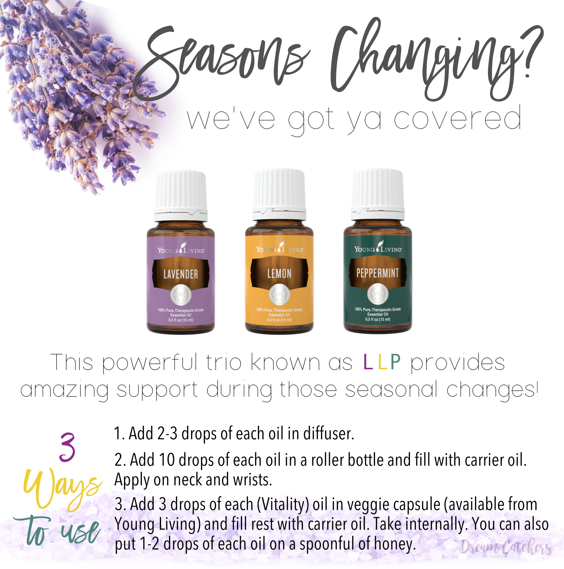 How To Support Those Seasonal Changes Naturally! - Decorchick!